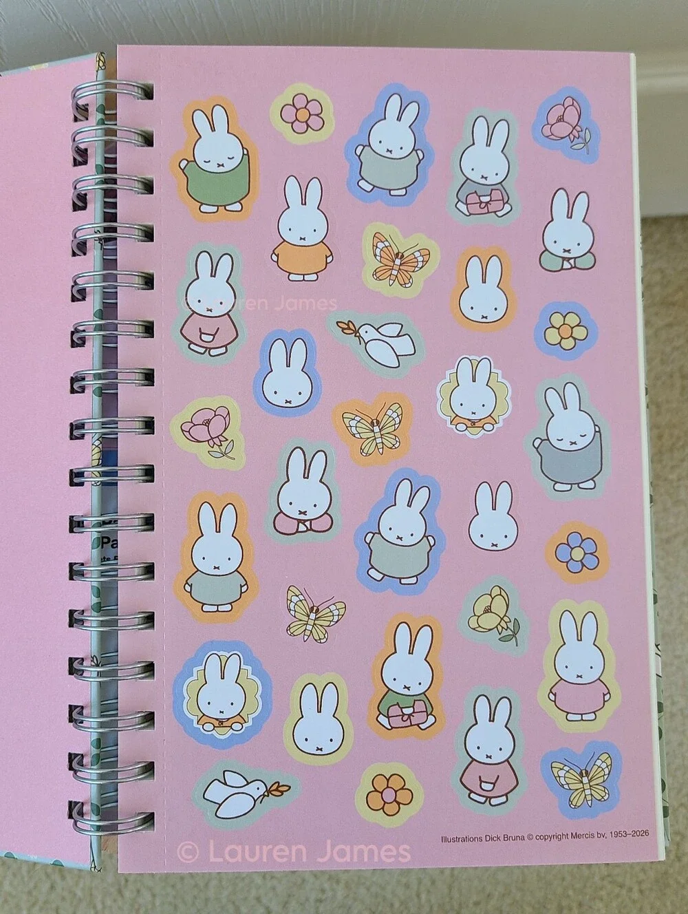 Miffy Blue and Green Notebook Set